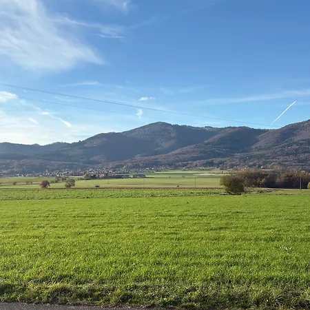 Apartment Le Nid Uffholtz