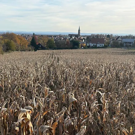 アパート Le Nid *