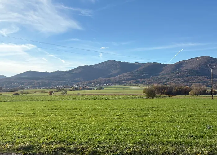 Appartamento Le Nid Uffholtz